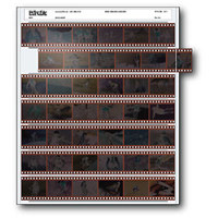 

Print File 35mm Size Negative Pages Holds Seven Strips of Six Frames, Pack of 100