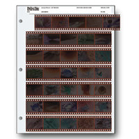

Print File 35mm Size Negative Pages Holds Seven Strips of Five Frames, Pack of 1000