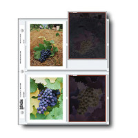 

Print File Negative Pages Holds Eight 4x5" Polaroid Prints or Four 4x5" Sleeved Negatives, Pack of 100