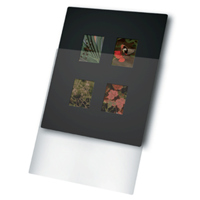 

Print File 8x10" Overmat with 4 Windows, 6x4.5cm Image Format, 10 Pack