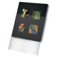 

Print File 8x10" Overmat with 4 Windows, 6x6cm Image Format, 10 Pack