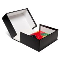 

Print File Clamshell Portfolio Box with White Lining, 8.25x10.25x4"