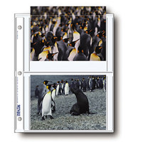 

Print File Photo Pages Holds Four 5x7" Prints, Pack of 500