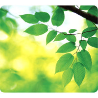 

Fellowes Recycled Mouse Pad, Leaves