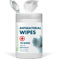 

General Brand Antibacterial Disinfecting Wipes Cleaning Sanitizing Wipes 70 CT Premium Nature