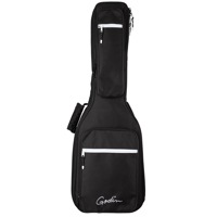 

Godin VBG-Oud for MultiOud and Inuk Series Guitars