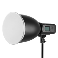 

Glow 11" Diffuser Sock