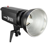 

Godox DP600II Flash Head