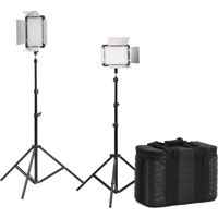 

Godox LED500LRC Bi-Color 2-Light LED Video Kit