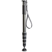 

Gitzo GM4552L Series 4 5-Section Carbon Fiber Monopod, Long