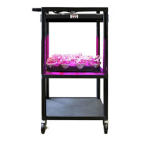 

Hamilton Buhl HB LED GrowLight Kit, STEM/STEAM Education Indoor Hydroponic Gardening Kit