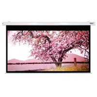 

Hamilton Buhl 110" Diagonal 54x96 Electric Projector Screen, HDTV Format, Matte White Fabric, White