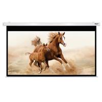 

Hamilton Buhl 120" Diagonal 59x105 Electric Projector Screen, HDTV 16:9 Format, Matte White Fabric, White