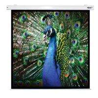 

Hamilton Buhl 99" Diagonal 70x70 Electric Projector Screen, Square 1:1 Format, Matte White Fabric, White