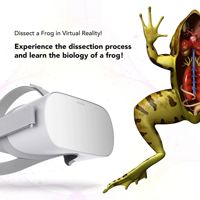 

Hamilton Buhl VR-FRG Oculus Go Virtual Reality Frog Dissection Educational Experience License