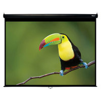 

Hamilton Buhl 72x96" Manual Pull Down Projector Screen, 120" Diagonal, Video Format, Matte White Fabric, Black
