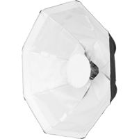 

Hive Beauty Dish Softbox for Bee/Wasp Fixture, Small