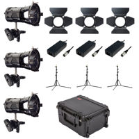 

Hive Bee 50-C Par Spot 3-Light Kit Includes 3-Stands & Rolling Case with Custom Foam