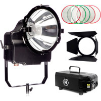 

Hive Wasp Plasma 1000 Par Light with 220V Remote Ballast
