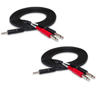 

Hosa Technology 2x 10' Stereo 3.5mm Mini Male to Two Mono -1/4" Phone Plugs, Breakout Y-Cable