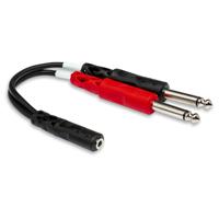 

Hosa Technology 6" Stereo 3.5mm Female to Two 1/4" Male Y-Cable