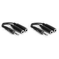 

Hosa Technology 2x Stereo 1/4" Male to Two Stereo 1/4" Female Y-Cable 6"