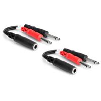 

Hosa Technology 2x Stereo 1/4" Female to Two 1/4" Mono Male Y-Cable 6"