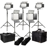 

Ikan Rayden Daylight 5-Point LED Light Kit, Includes 2x RW10 LED Light, 3x RW5 LED Light, Stands, Battery Adapter Plates, Power Supplies, and Cases