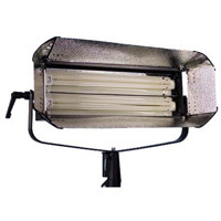 

Ikan S200D 110w Fluorescent Light Fixture with 2-55watt Tubes, Single Line DMX Dimmer Control