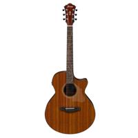 

Ibanez AE295 Semi-Acoustic Guitar, Katalox Fretboard, Natural Low Gloss