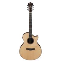 

Ibanez AE325 Semi-Acoustic Guitar, Macassar Ebony Fretboard, Natural Low Gloss