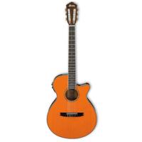 

Ibanez AEG10NII Acoustic Electric Guitar, Rosewood Fretboard, Tangerine High Gloss