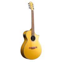 

Ibanez AEWC10 6-String Semi-Acoustic Guitar, 20 Frets, Nyatoh Neck, Walnut Fretboard, Spruce Top, Dark Gold Metallic High Gloss