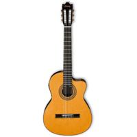 

Ibanez Classical Series GA6CE Cutaway Acoustic Electric Guitar, Rosewood Fretboard, Natural High Gloss