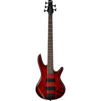 

Ibanez GIO Series GSR205SM 5-String Electric Bass Guitar, Rosewood Fretboard, Charcoal Brown Burst