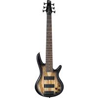 

Ibanez GIO Series GSR206SM Electric Bass Guitar, Rosewood Fretboard, Natural Gray Burst