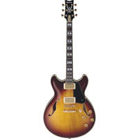 

Ibanez John Scofield Signature JSM100 Hollow-Body Electric Guitar, Bound Ebony Fretboard, Vintage Sunburst