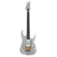 

Ibanez RG Prestige Series RG5170G Electric Guitar, Bound Macassar Ebony Fretboard, Silver Flat