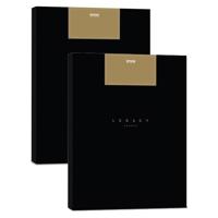 

Epson 2 Pack Legacy Platine Smooth Satin Paper, 17 mil, 8.5x11", 25 Sheets