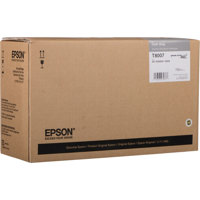 

Epson UltraChrome PRO 700ml Dark Gray Ink Cartridge for SureColor P10000 & P20000 Large-Format Inkjet Printers