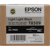 

Epson T850 Light Light Black Inkjet UltraChrome HD Ink Cartridge for SureColor P800 Printer, 80ml Capacity