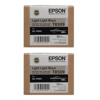 

Epson 2x T850 Light Light Black Inkjet UltraChrome HD Ink Cartridge for SureColor P800 Printer, 80ml Capacity