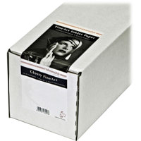 

Hahnemuhle Platinum Rag Fine Art Paper, 300gsm, 32.8'x24" Roll