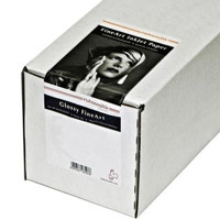 

Hahnemuhle Pearl Photo Rag, 100 % Cotton Rag, Natural White Inkjet Paper, 320 g/mA, 24"x39' Roll with 3" Core