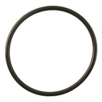 

Ikelite O-Ring for Mini C-Lite, FL