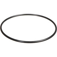 

Ikelite Replacement "O" Ring for ULTRAcompact Digital Case