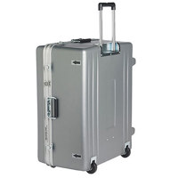 

Ikegami Hard Carrying Case for HLM-2450W/WB LCD Monitor