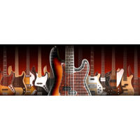 

IK Multimedia MODO BASS Electric Bass Virtual Instrument Software, Full Version, USB Drive/Boxed
