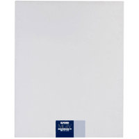 

Ilford Multigrade IV RC Deluxe Black & White Enlarging Paper - 20x24"-10 Sheets - Glossy Surface