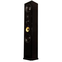 

Induction Dynamics ID1 Switchable 3-Way/4-Way Tower Speaker with Dual 10" Subwoofers, Black Gloss